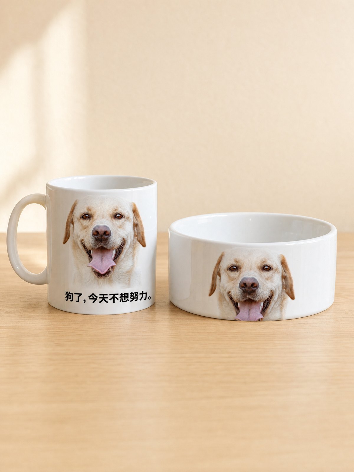 狗版示意